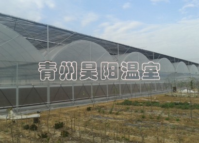 諸城建設中溫室