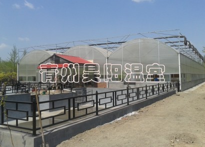 淄博建設中溫室