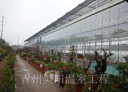 煙臺玻璃溫室