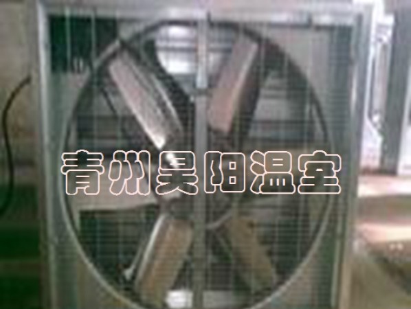 風(fēng)機